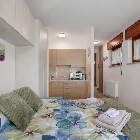 Tiny House Sofia - דירה